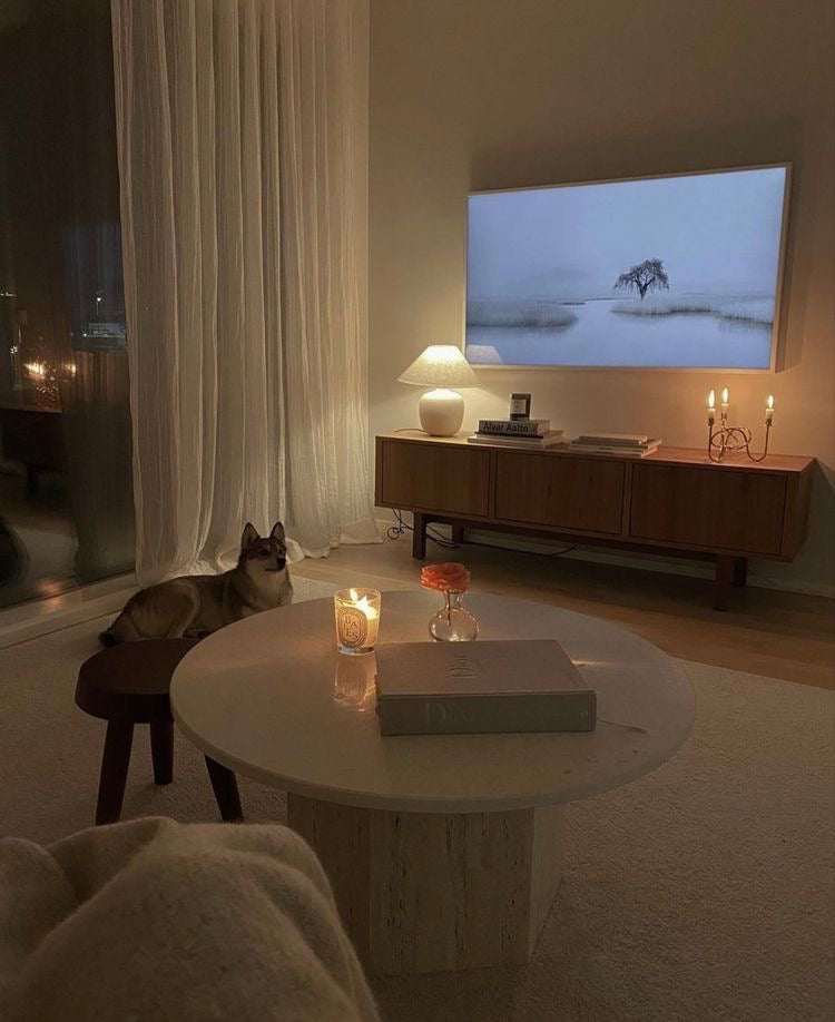 Living room with a dog on a stool, candles, and a TV playing a nature scene.