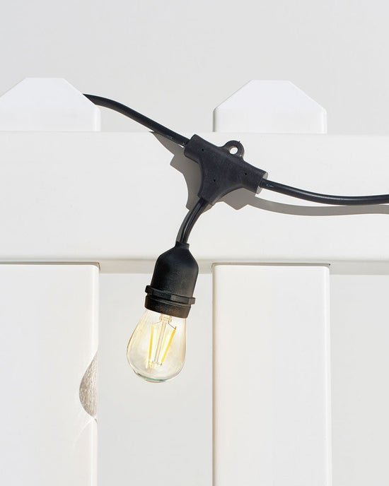 Edison Outdoor String Lights Ship Free Shop Brightech